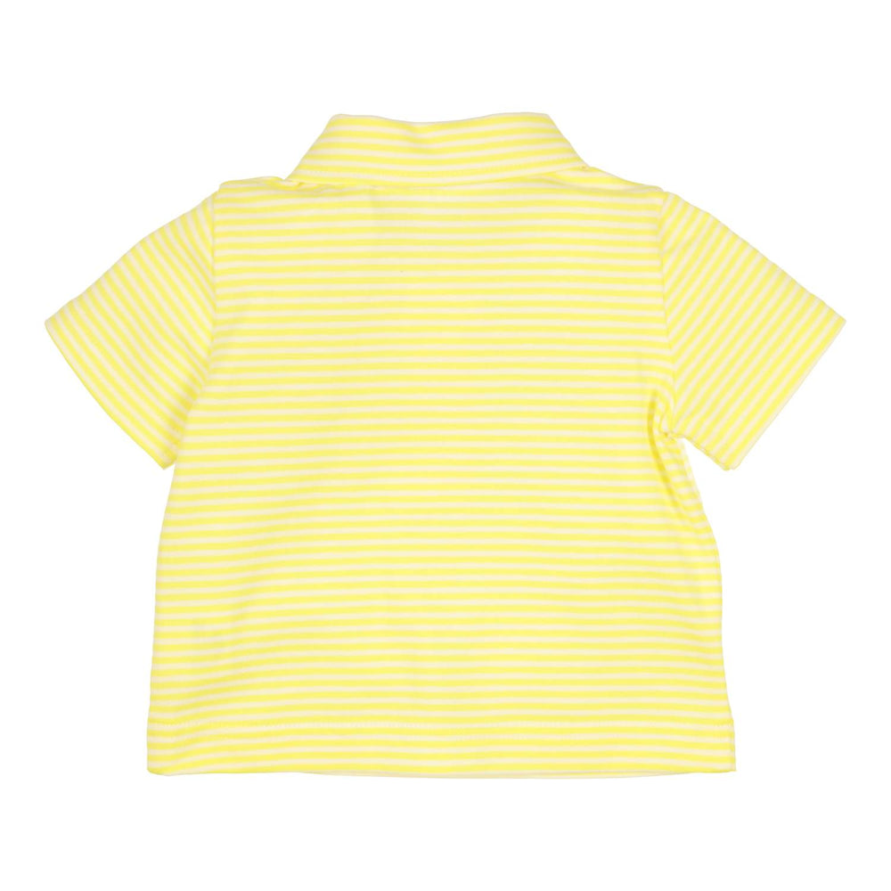 Polo Devon