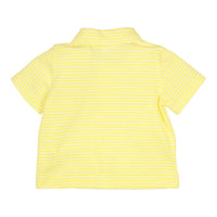 Polo Devon