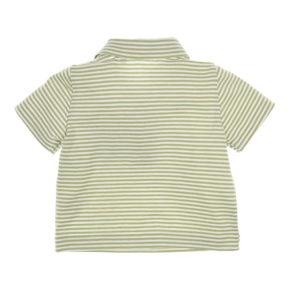 Polo Devon