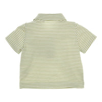 Polo Devon