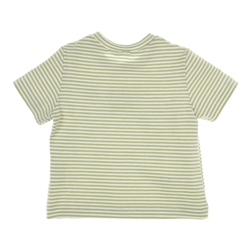 T-shirt Devon Groen/Wit